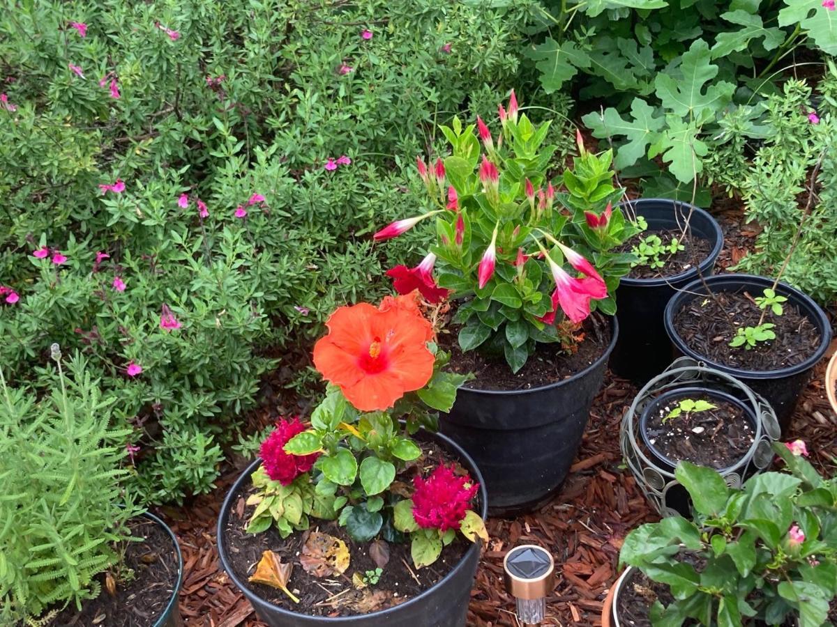 Granbury Gardens Bed And Breakfast Экстерьер фото
