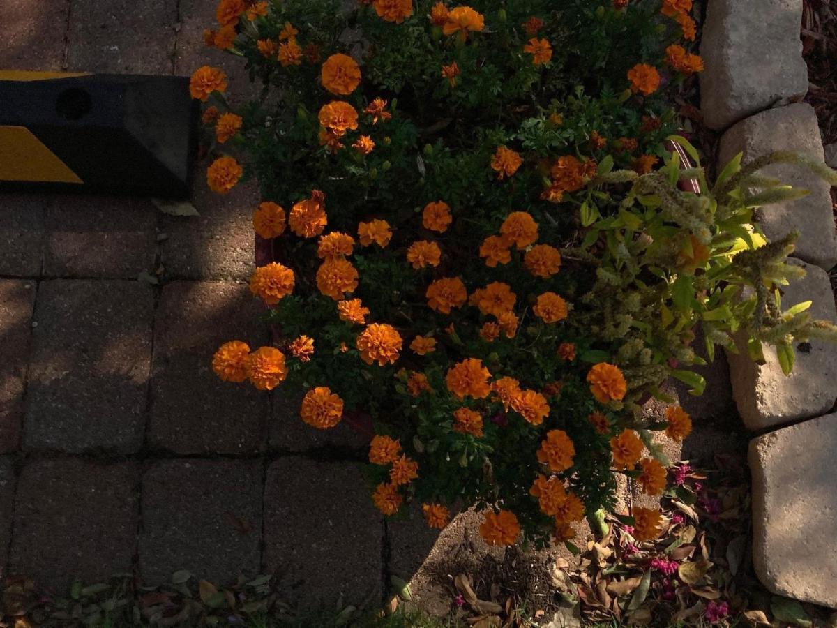 Granbury Gardens Bed And Breakfast Экстерьер фото
